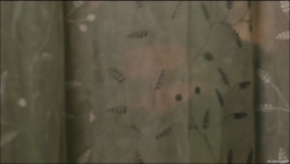 Udaariyan - 4th February 2024